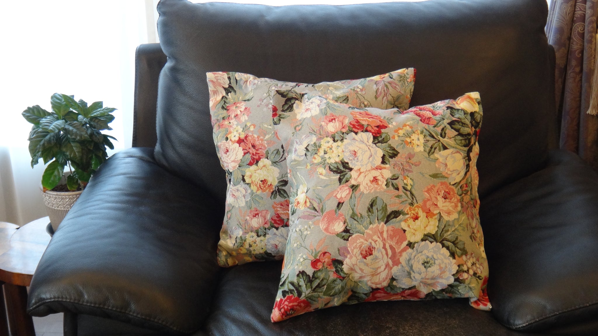 ベガテックス（VEGATEX） – Home & Kitchen Online