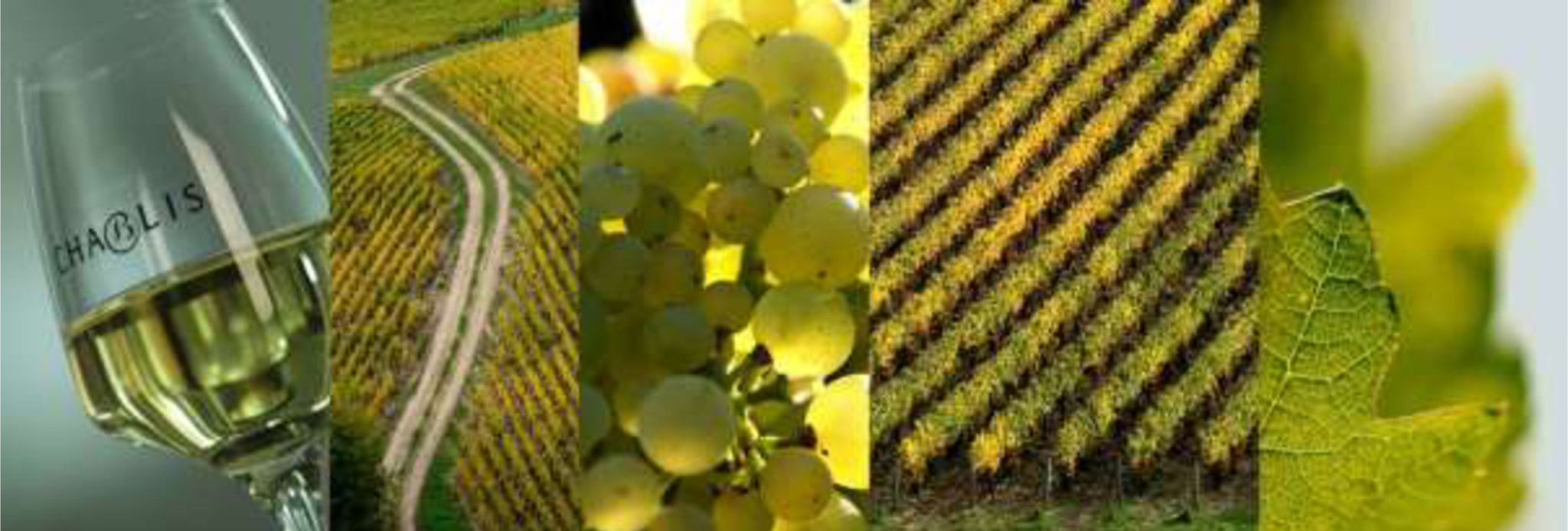 メゾンドゥセ シャブリ Chablis 2022 地方名クラス ブルゴーニュ