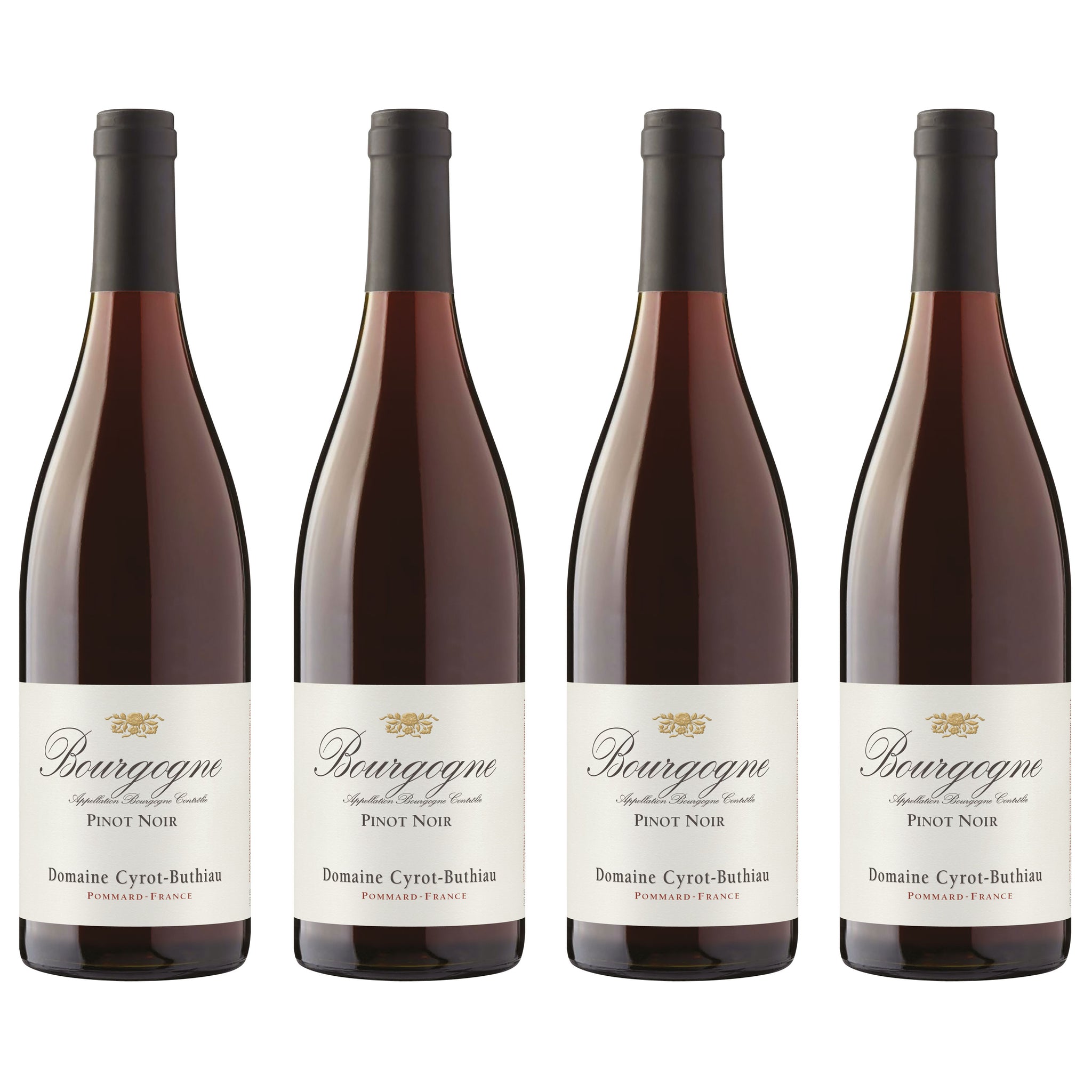 ドメーヌシロブチョ ブルゴーニュ ピノノワール Bourgogne Pinot