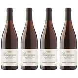 ドメーヌシロブチョ ブルゴーニュ ピノノワール Bourgogne Pinot Noir 2020 地方名クラス 赤ワイン