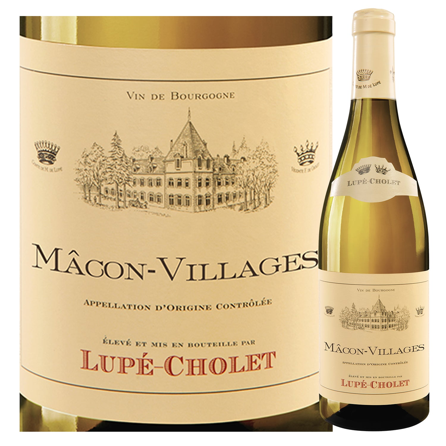 マコネ地区白 – Home & Kitchen Online