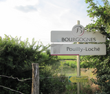 マルセルクチュリエ プイィロシェ Pouilly-Loche vieilles vignes 2018 村名クラス ブルゴーニュ マコネ 白ワイン